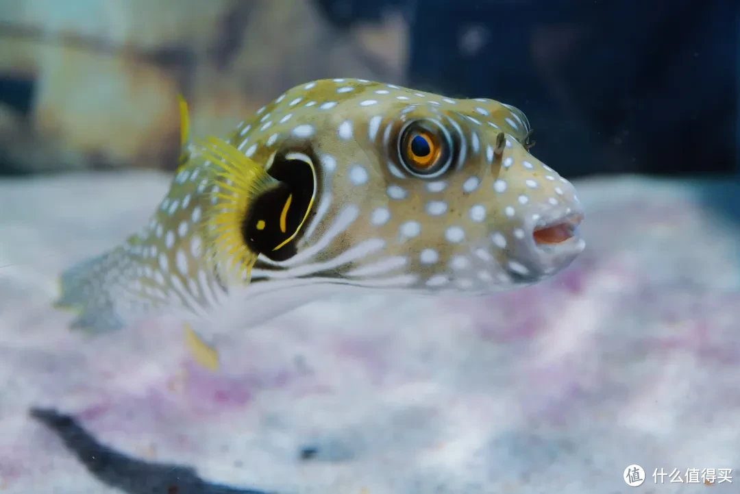 蓝天碧海金沙滩，海边的乌托邦，暑假快过完了才敢发