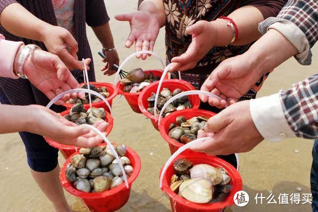 蓝天碧海金沙滩，海边的乌托邦，暑假快过完了才敢发