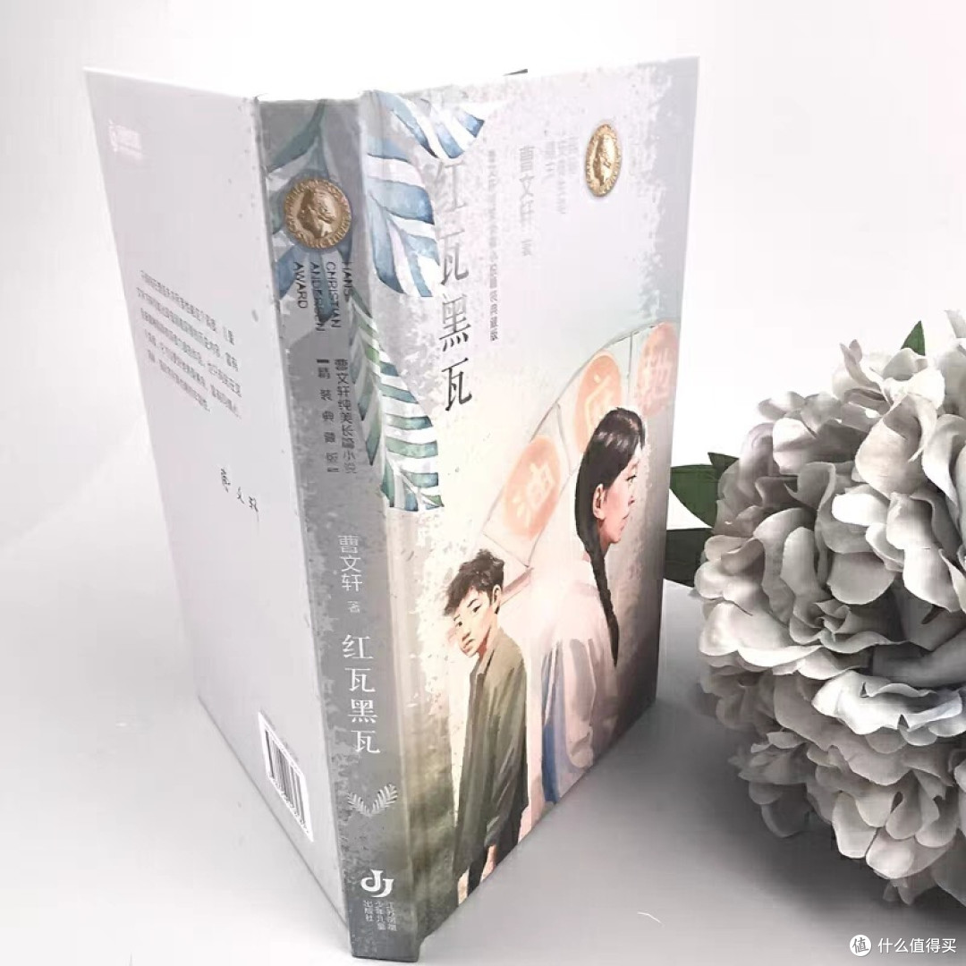 红瓦黑瓦，值得一读的好书