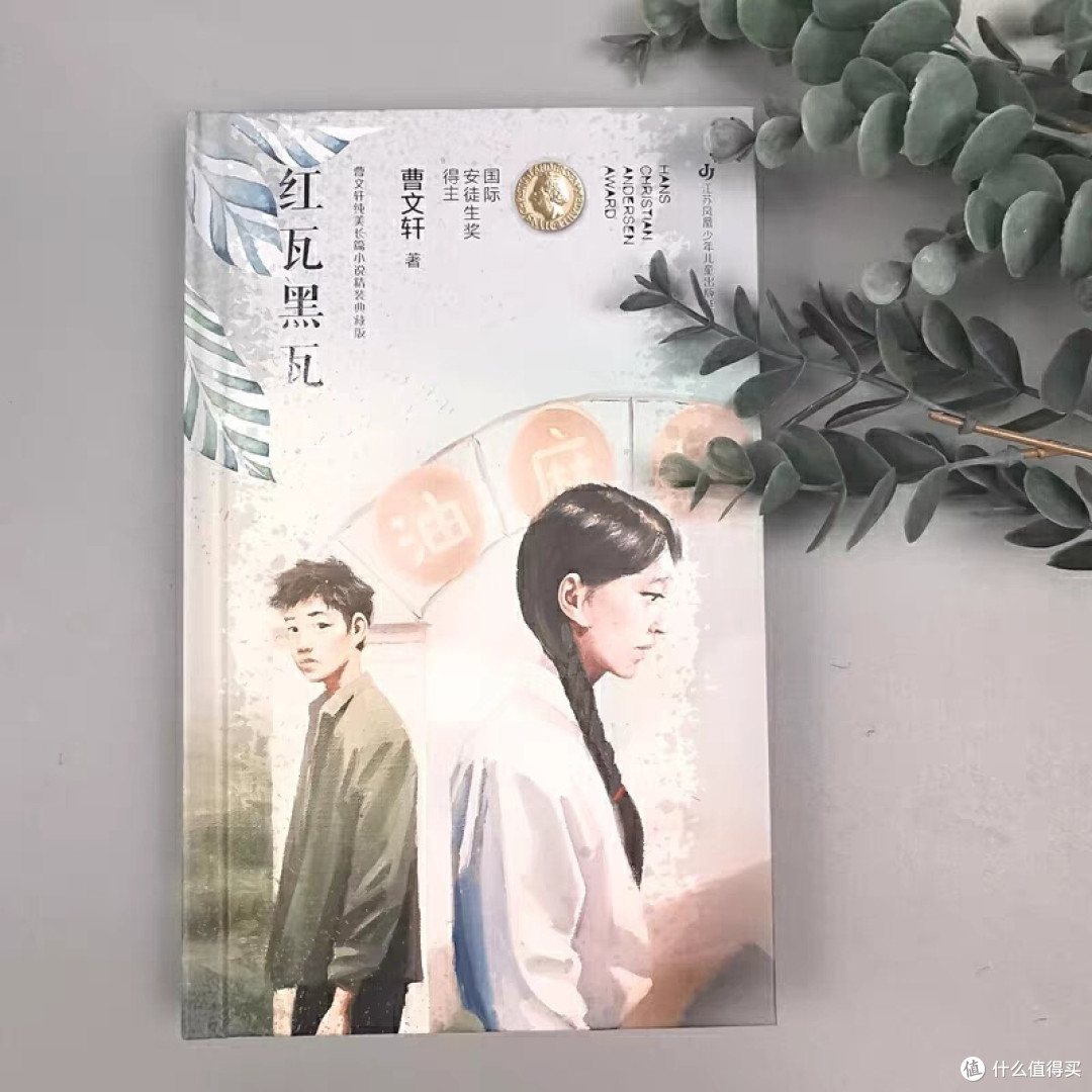 红瓦黑瓦，值得一读的好书
