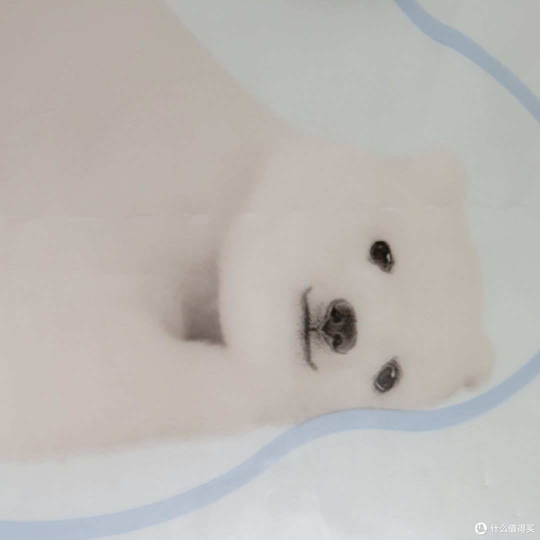 Babycare 小熊绵柔巾——母婴护理的贴心伴侣