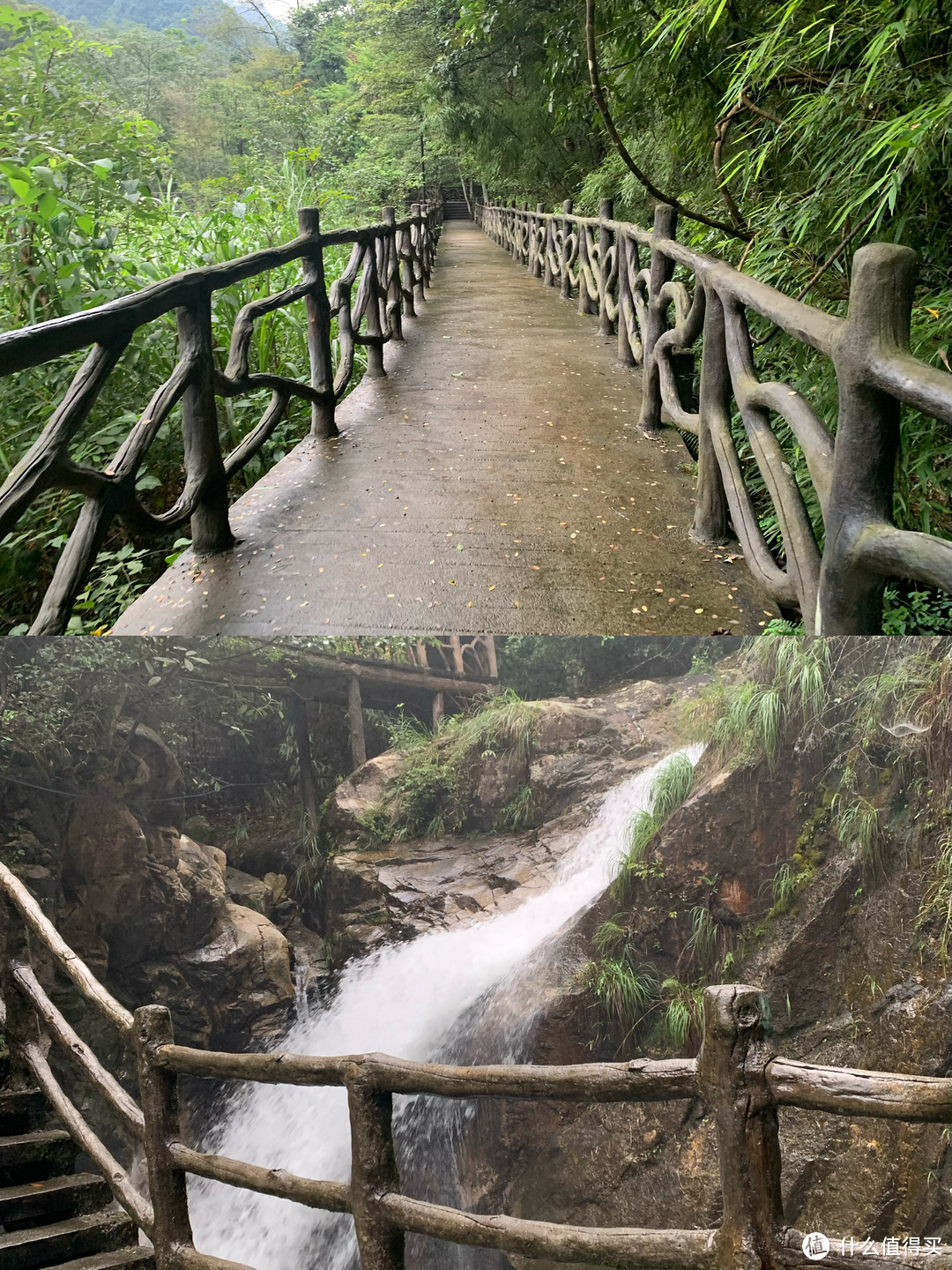 郴州莽山两日一晚游玩攻略！走进深山野林，温泉+汗蒸，太舒服了！