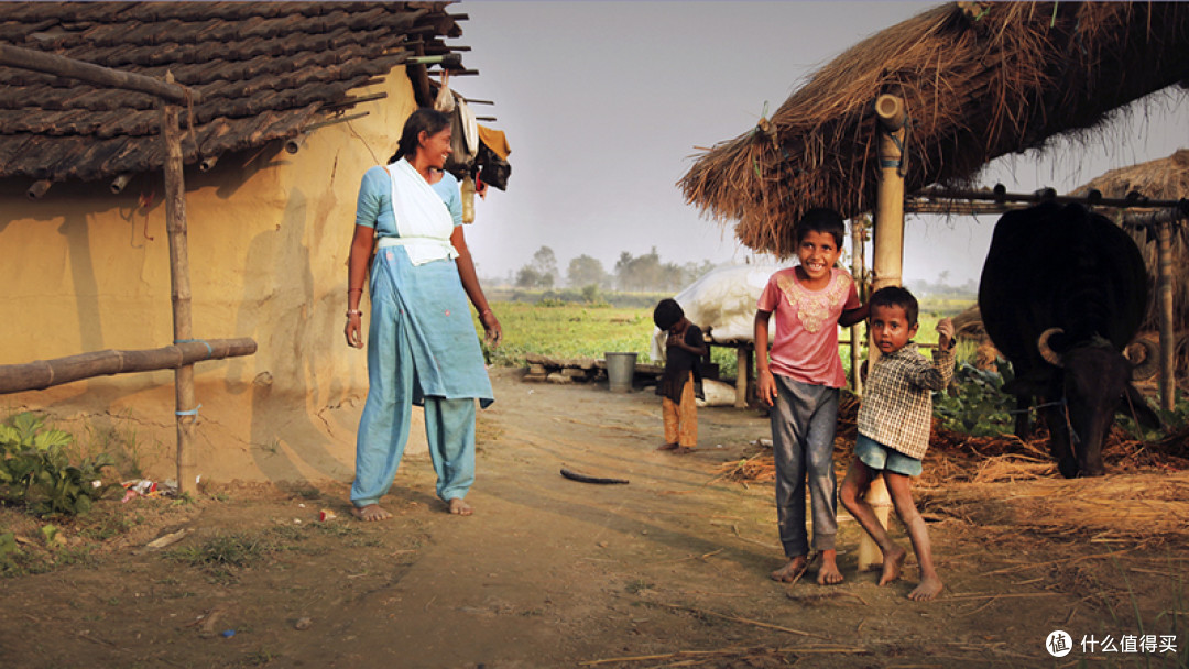 尼泊尔的旅游指南:皇家奇特旺国家公园