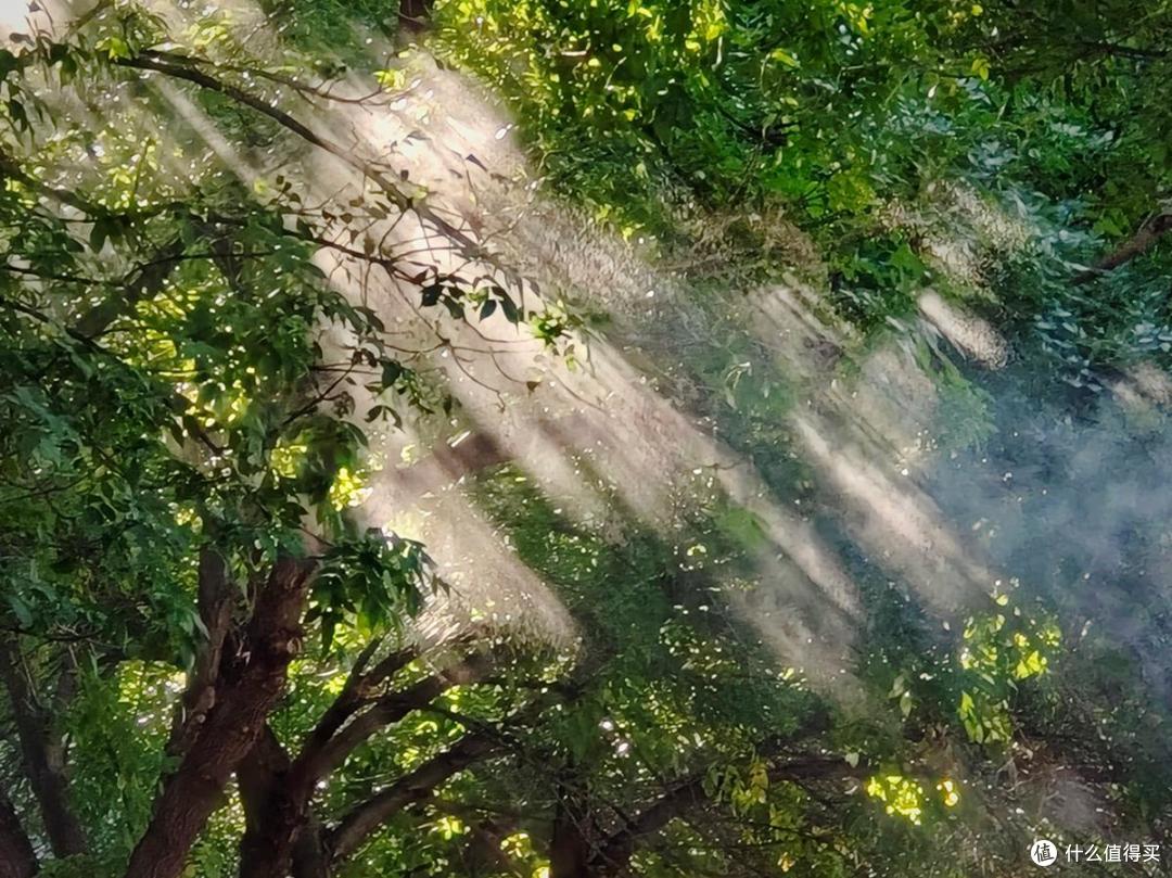 出游随拍：带着好心情去京郊游而邂逅初秋的浪漫