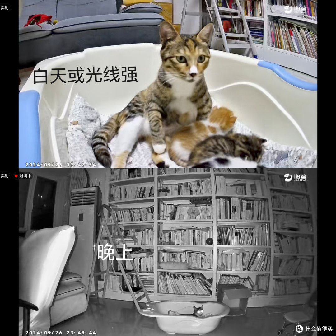 家用摄像头有什么好的推荐吗,不要太贵了的?