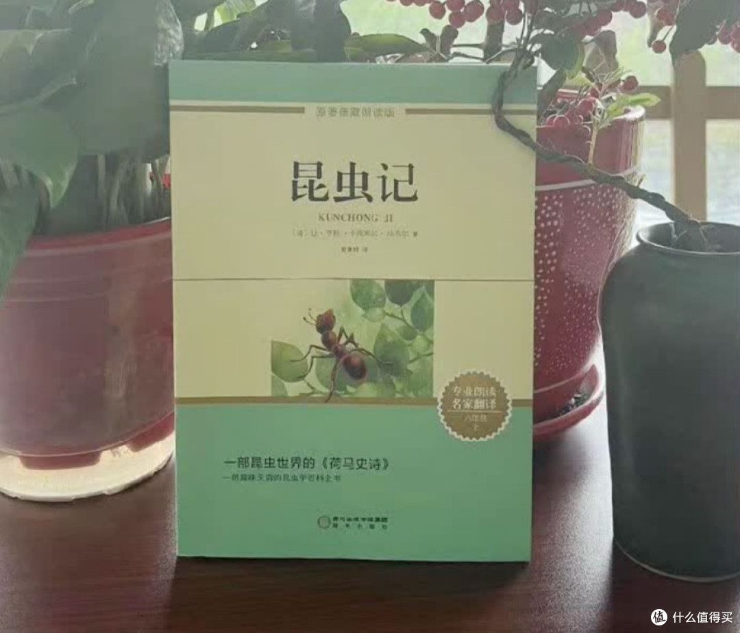 《昆虫记》