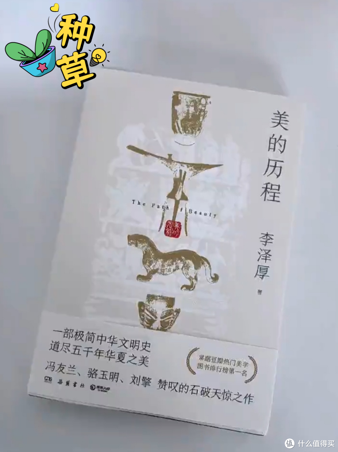 穿越时间的艺术之旅：《美的历程》——中华文明史的璀璨星光！