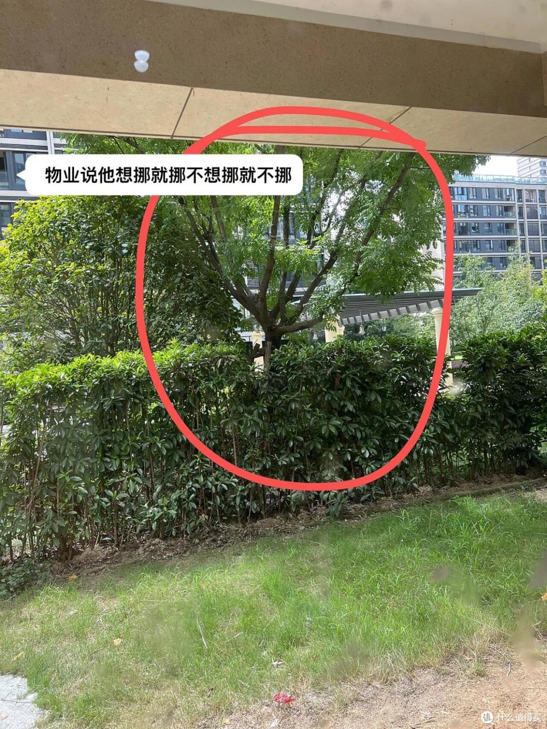 10年后，这3类小区将沦为“贫民窟”？懂行的人已在悄悄“抽身”