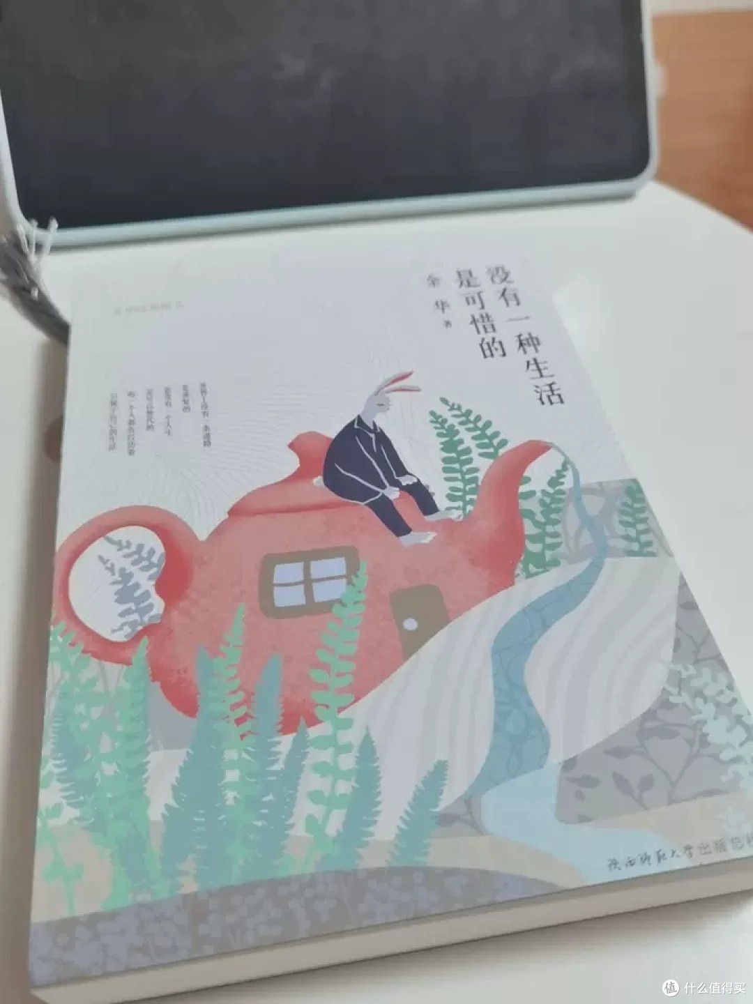 《没有一种生活是可惜的》