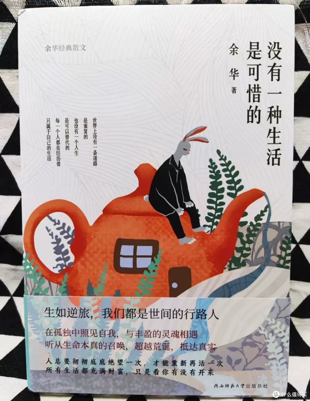 《没有一种生活是可惜的》