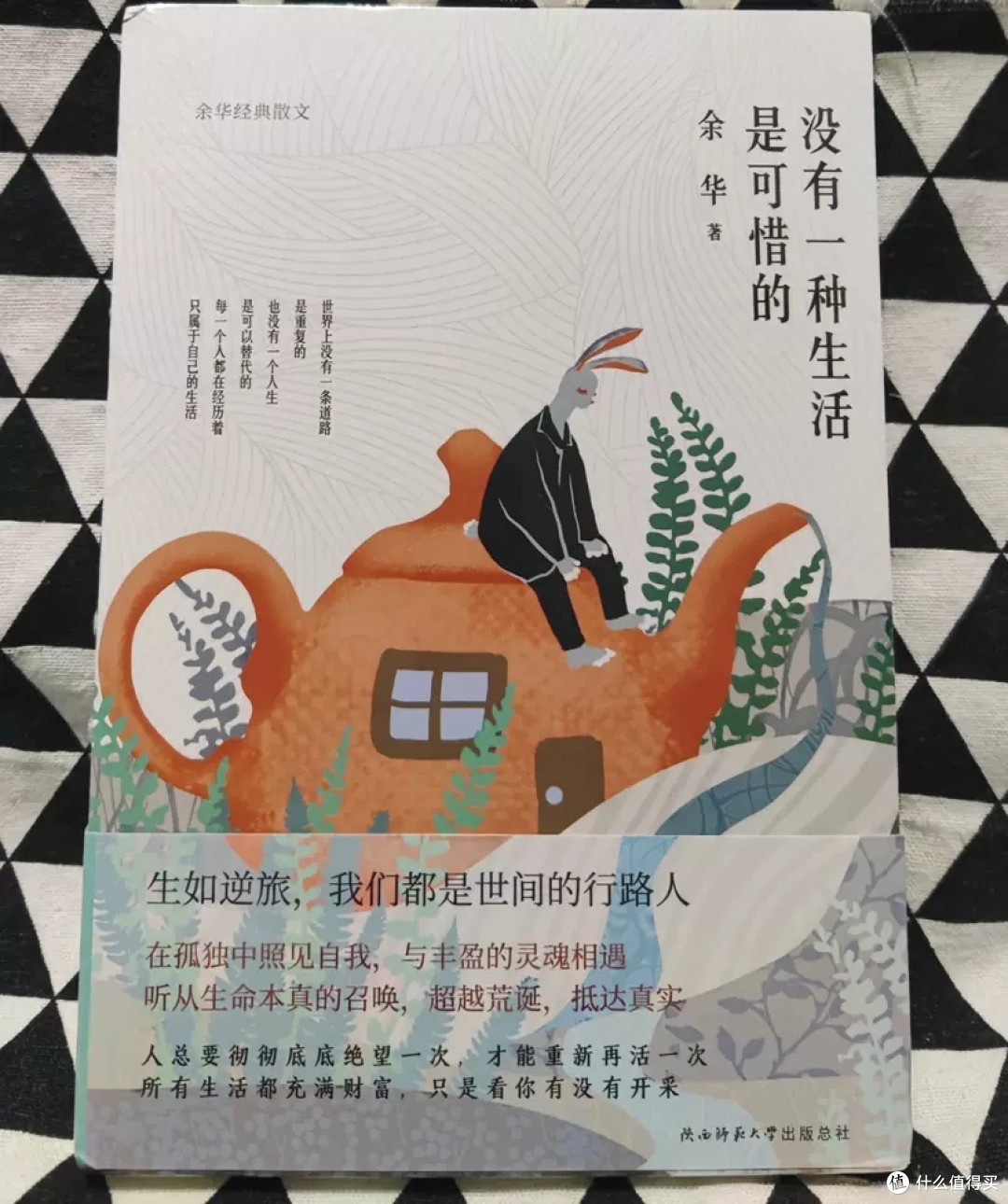 《没有一种生活是可惜的》