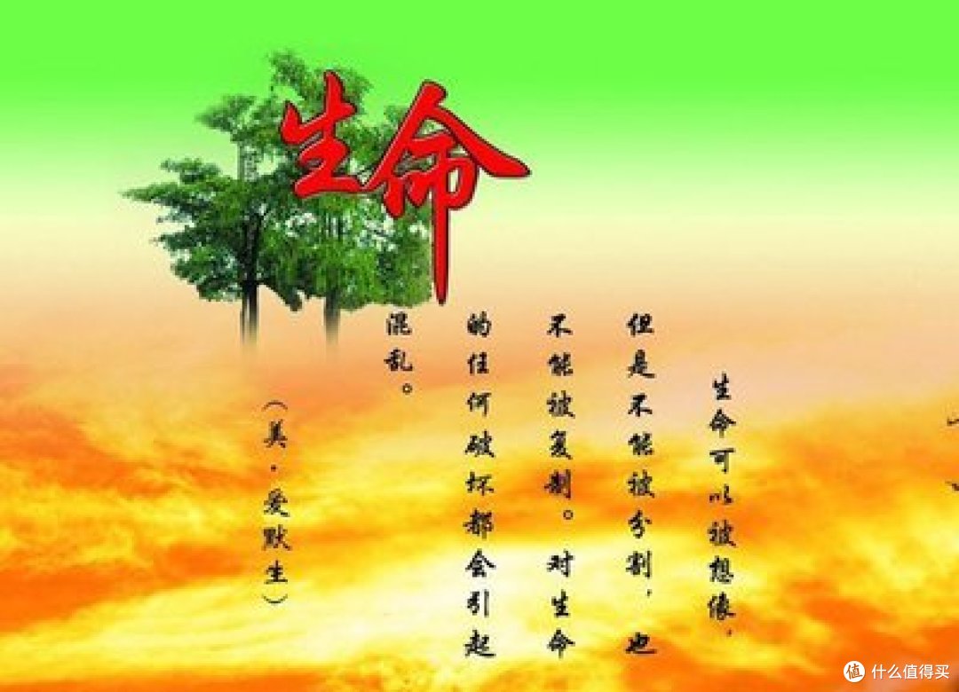 我读懂了生命_关于生命的