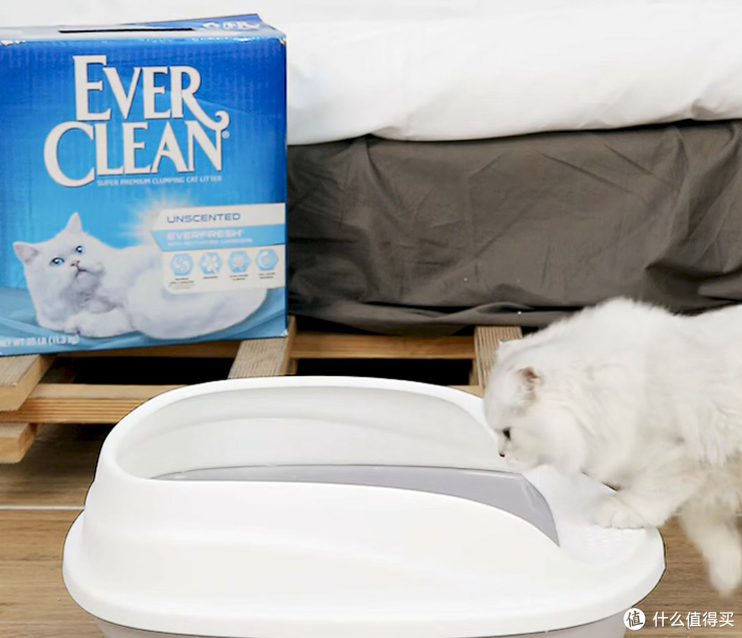 铂钻EverClean蓝标膨润土猫砂评测：铲屎官必备神器？