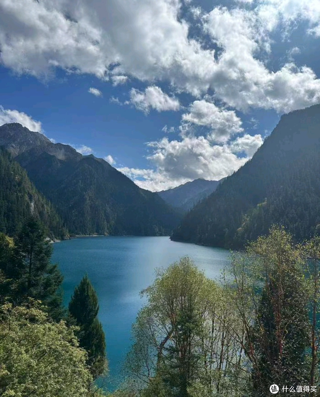 亲历九寨沟美景，感受大自然的神奇魅力！