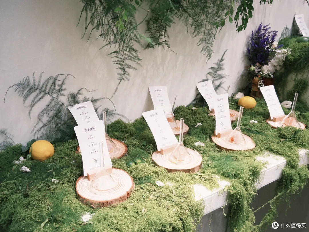带好鼻子跟我走!2024「气味上海」秋季展开幕,一天深度逛展,嗅觉已经失控