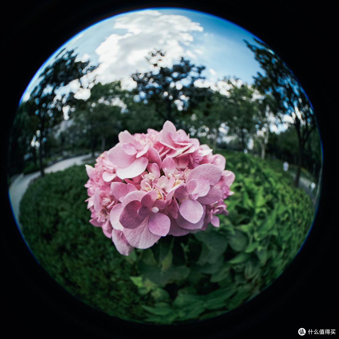 疯狂的鱼眼镜头-七工匠 7Artisans 4mm F2.8