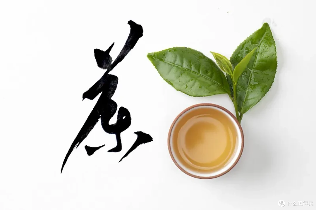 茶小白入门攻略:不用懂茶也可以喝茶!