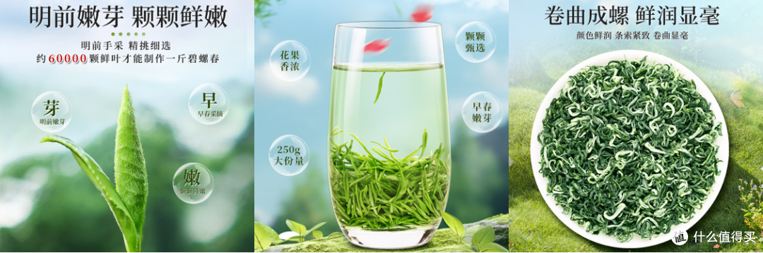 茶小白入门攻略:不用懂茶也可以喝茶!