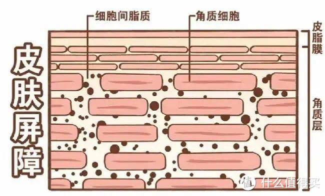 修护、舒缓、紧致、抗皱，一罐MEDATURE褒曼修润霜4号就够了