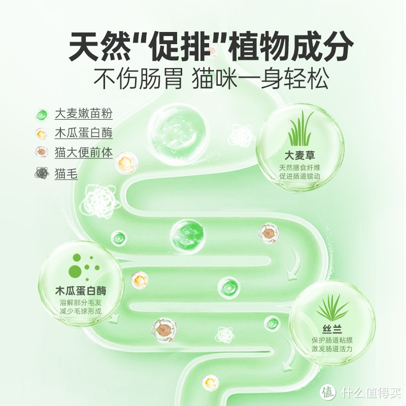 天然调理，轻松排毛：红狗维力猫草片