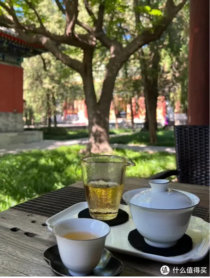 北京人为什么喜欢喝茉莉花茶？比较好喝的茉莉花茶品牌推荐！！