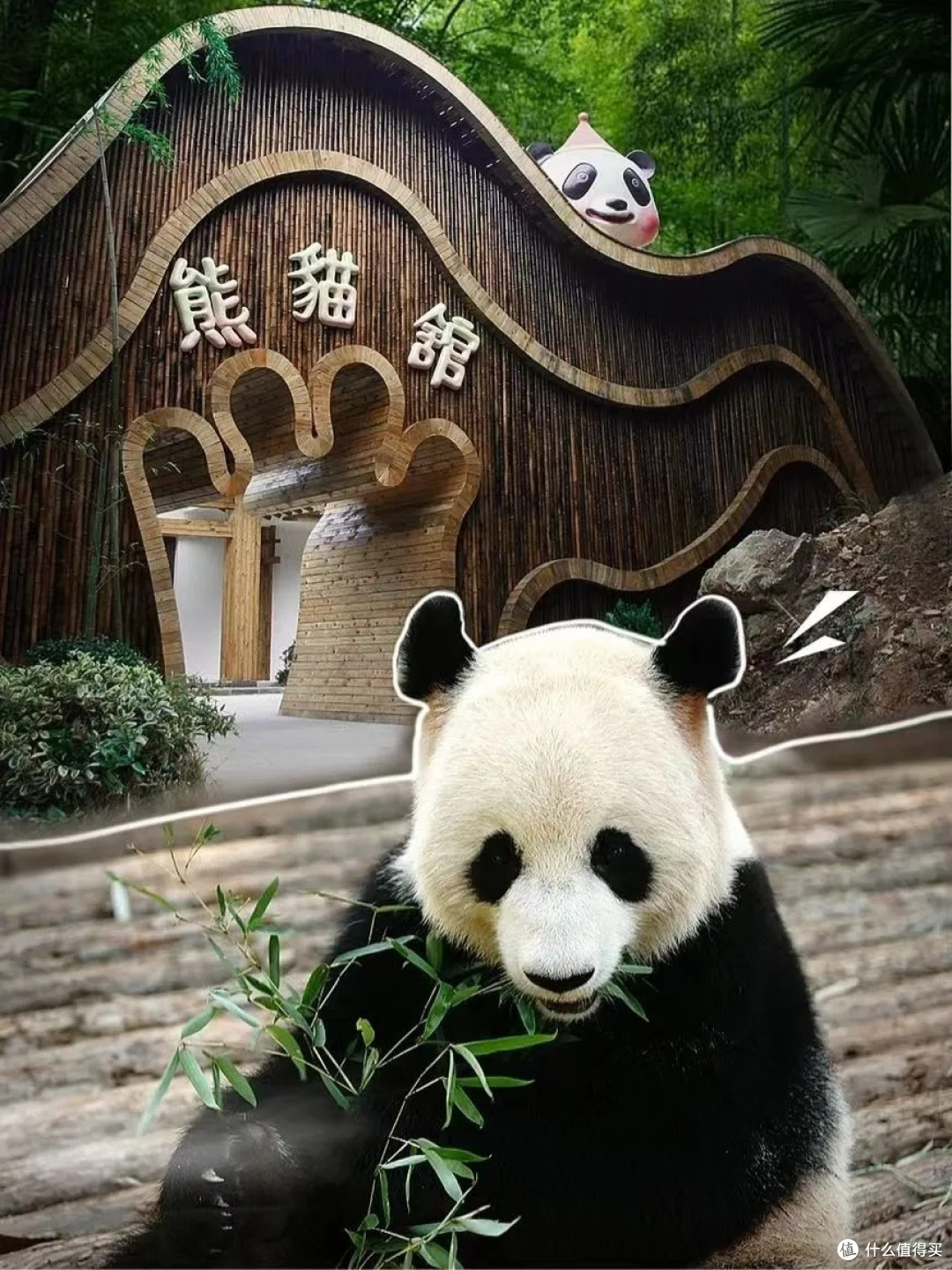 不排队3小时畅玩溧阳南山竹海景区攻略