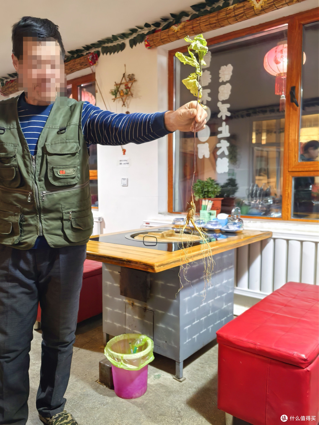 继续吃点没吃过的菌子山货!长白山·吉丰源