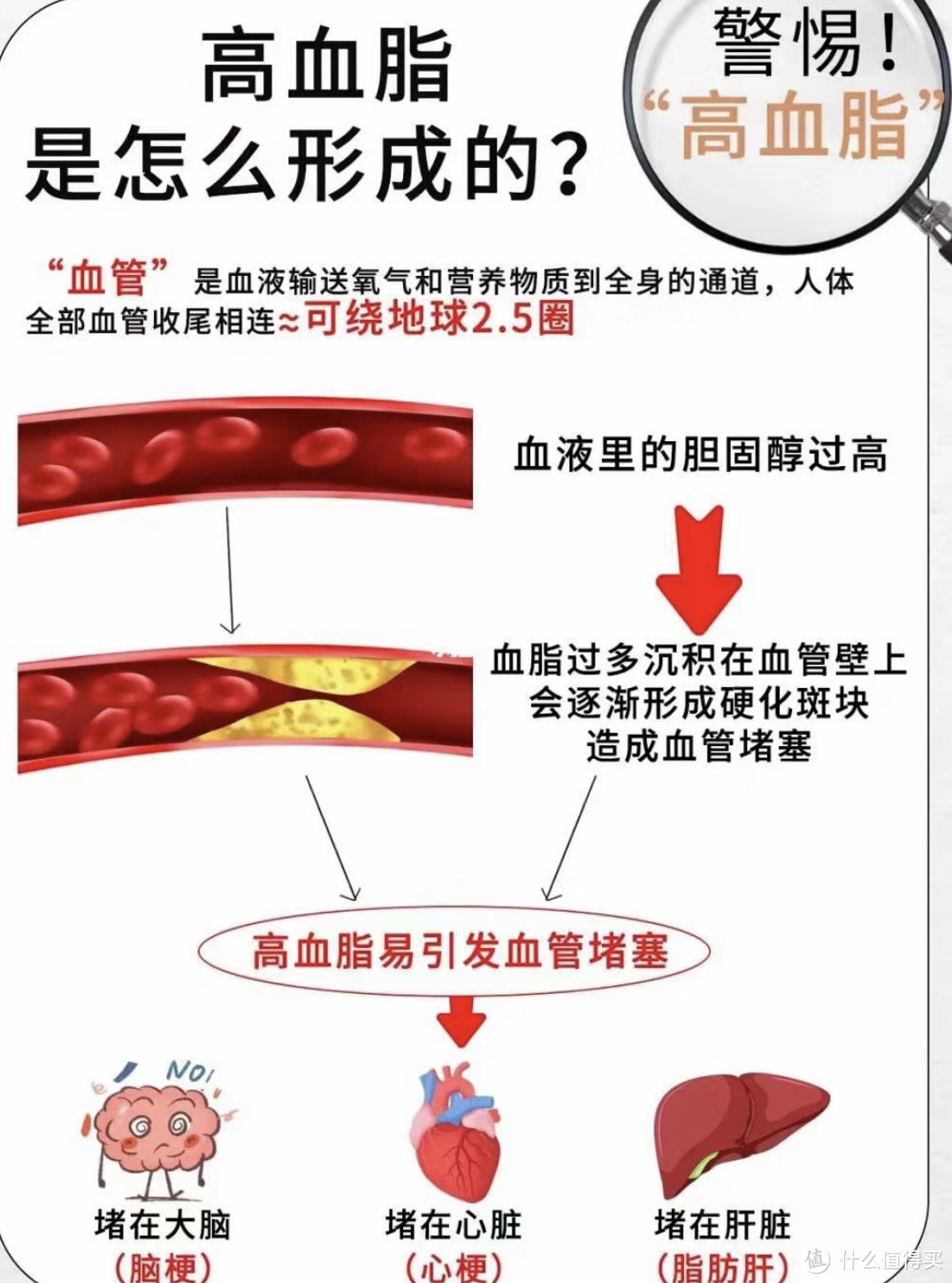 震惊！"三高"年轻化趋势明显，年轻人该如何应对？