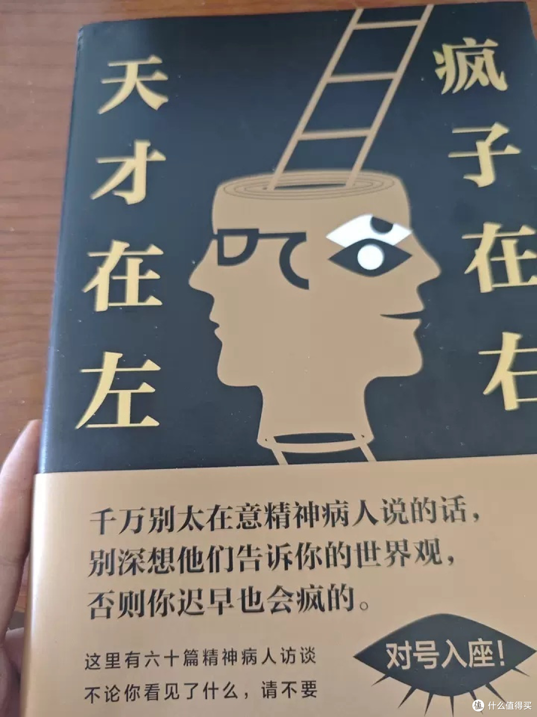 《天才在左疯子在右》