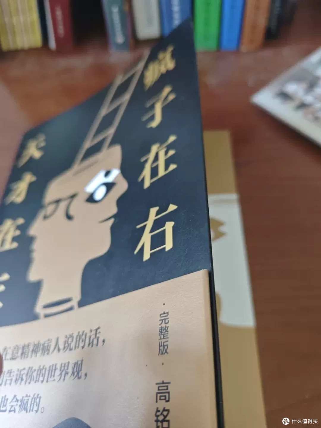 《天才在左疯子在右》