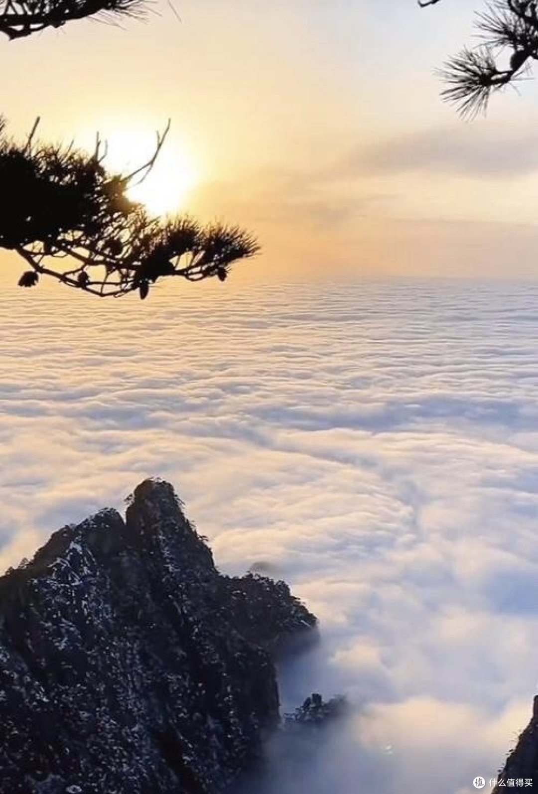 《物理学的现代发展及其影响》