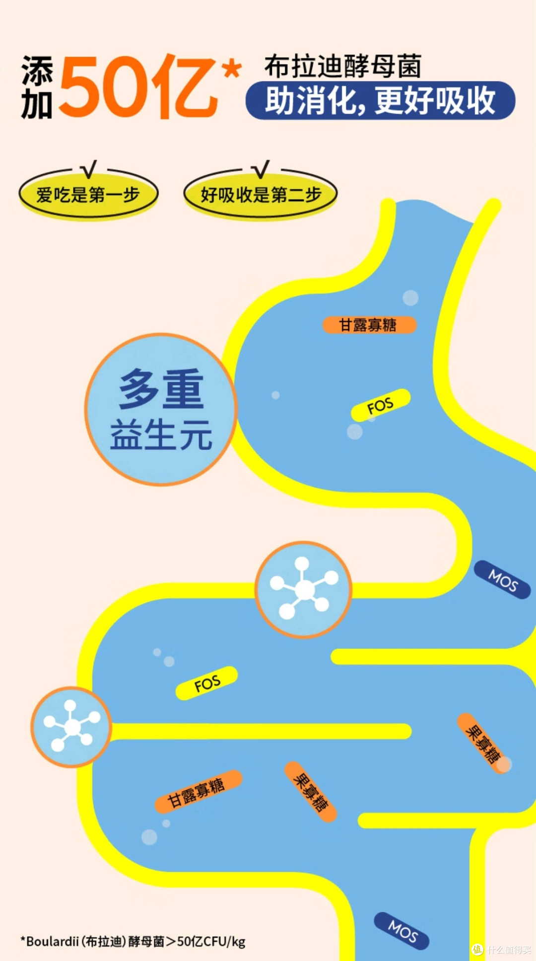 性价比狗粮评测：看看哪款更适合你家的毛孩子