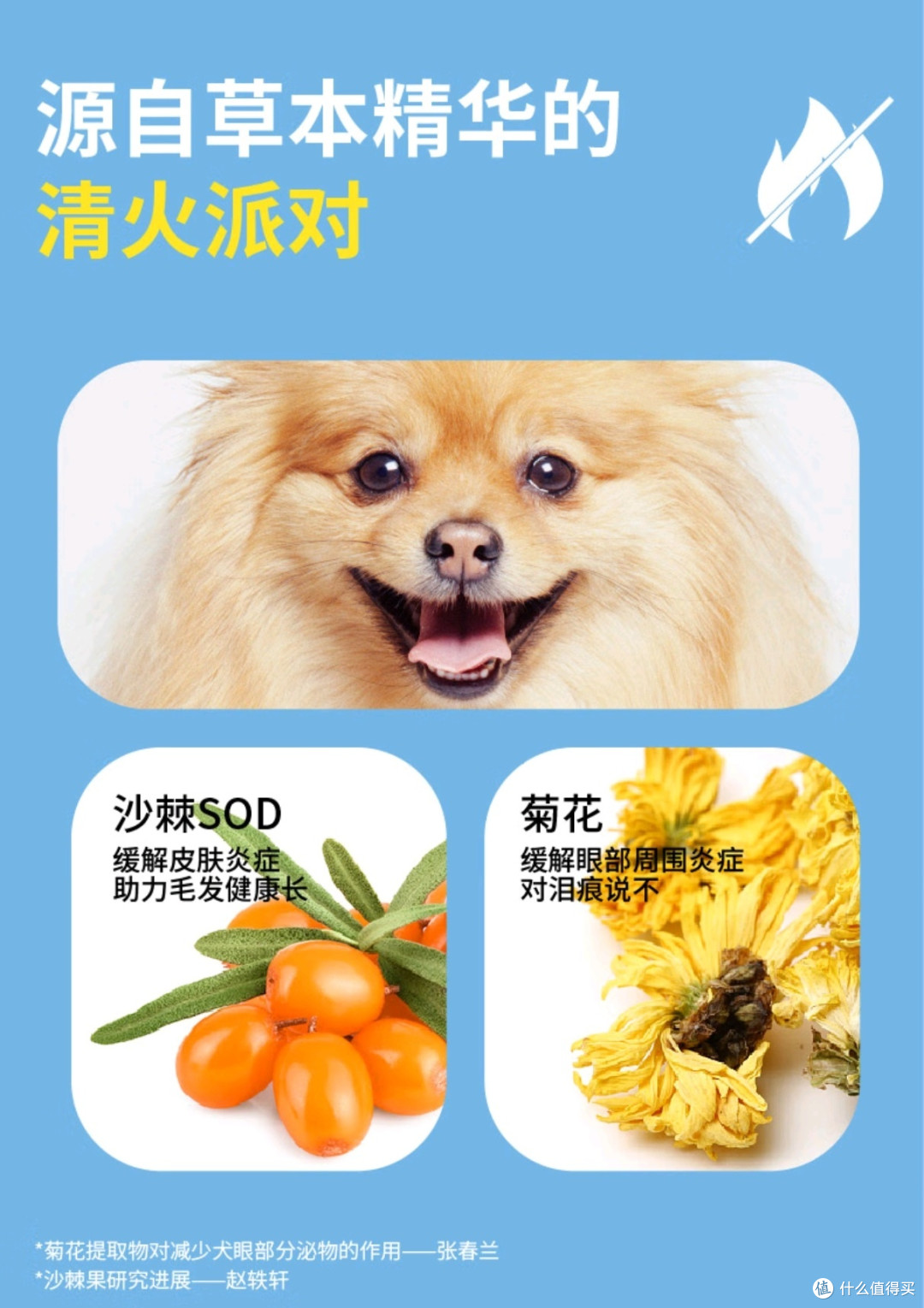 性价比狗粮评测：看看哪款更适合你家的毛孩子