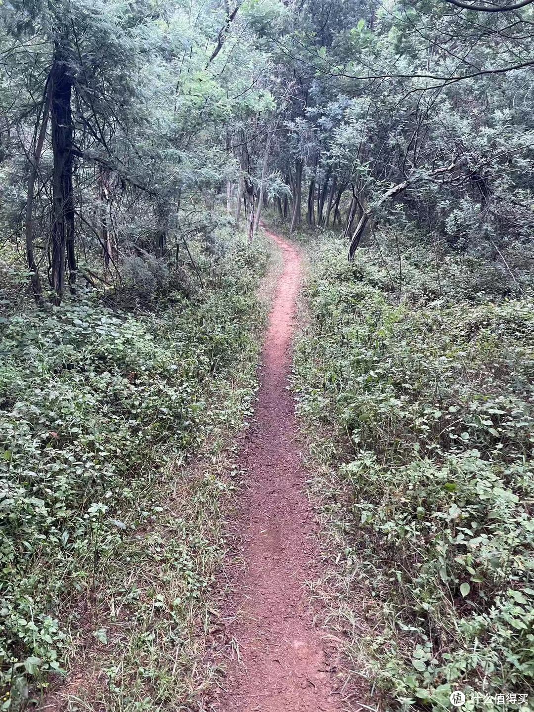 昆明北郊穿越，长虫山到摩天岭