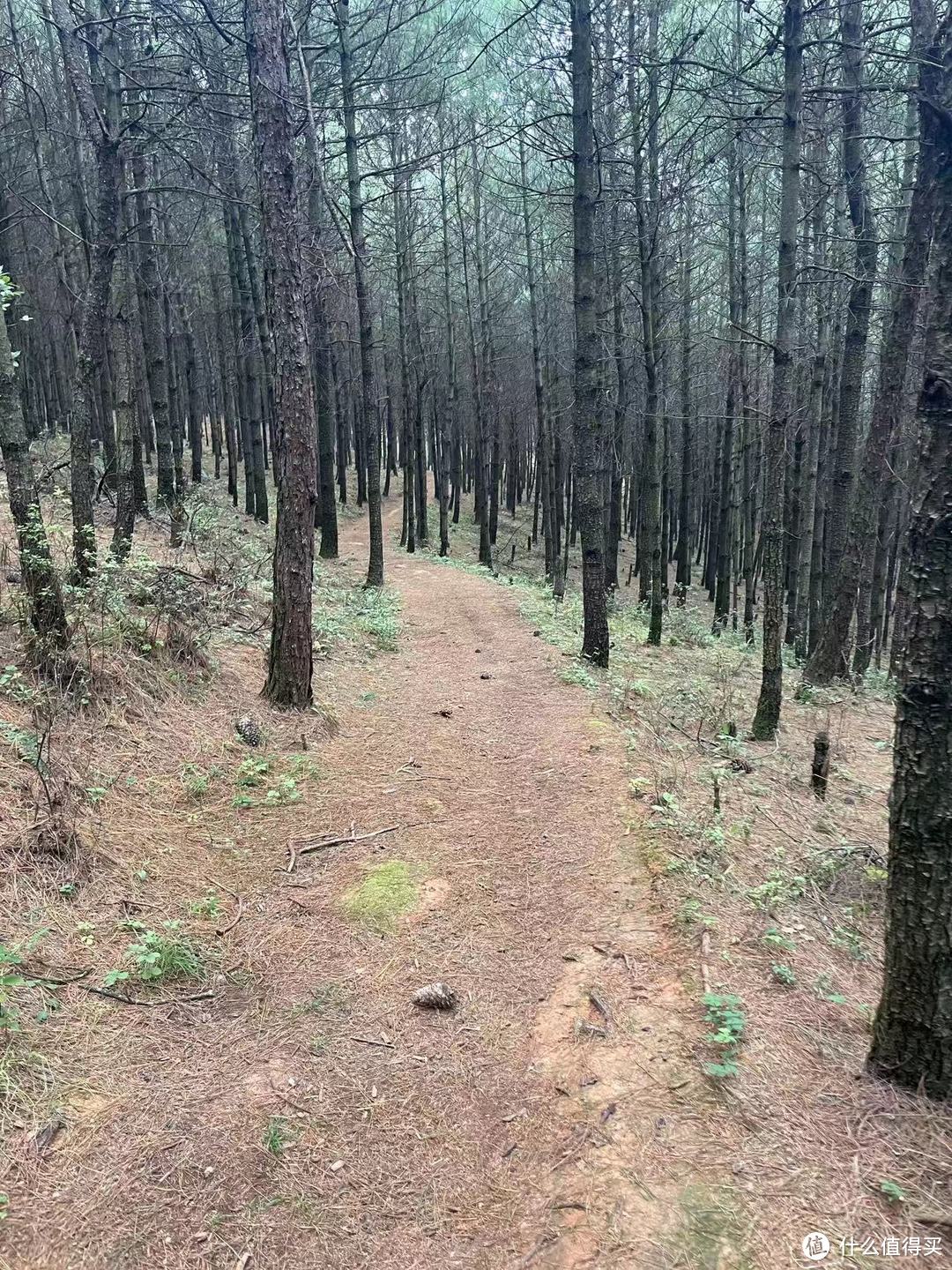 昆明北郊穿越，长虫山到摩天岭