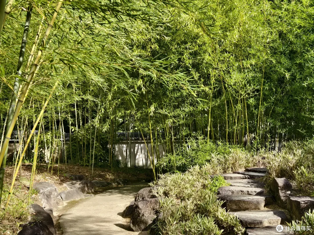 探秘日本国宝姬路城:距大阪仅有1小时!中国游客去的少,到处都是欧美老外