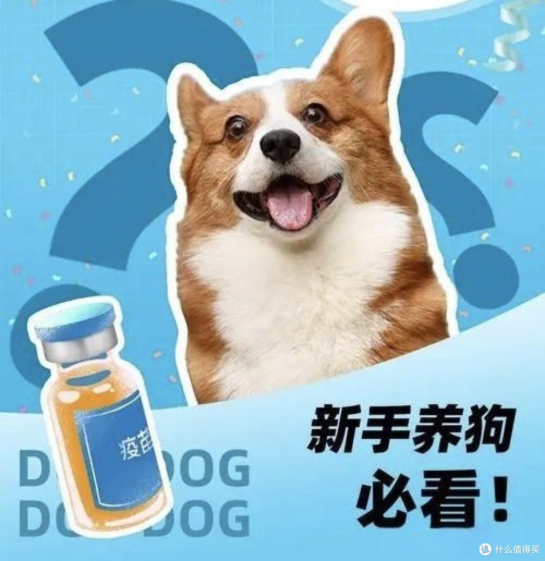 如何做一个优质养宠人,你准备好了吗?