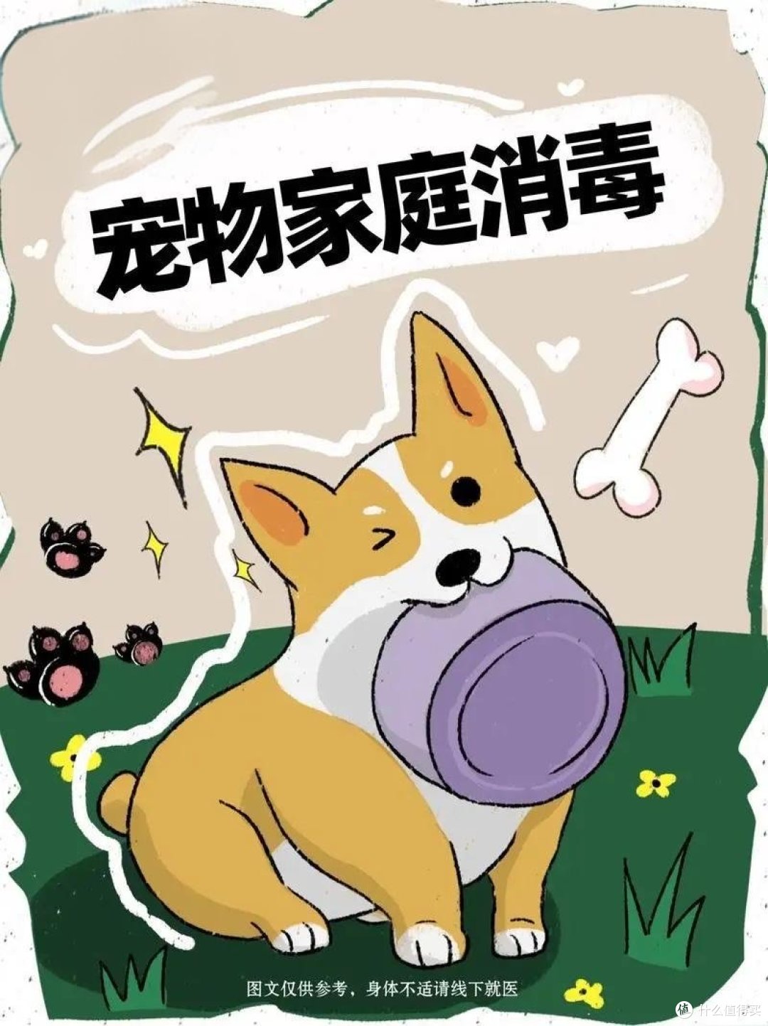 如何做一个优质养宠人,你准备好了吗?