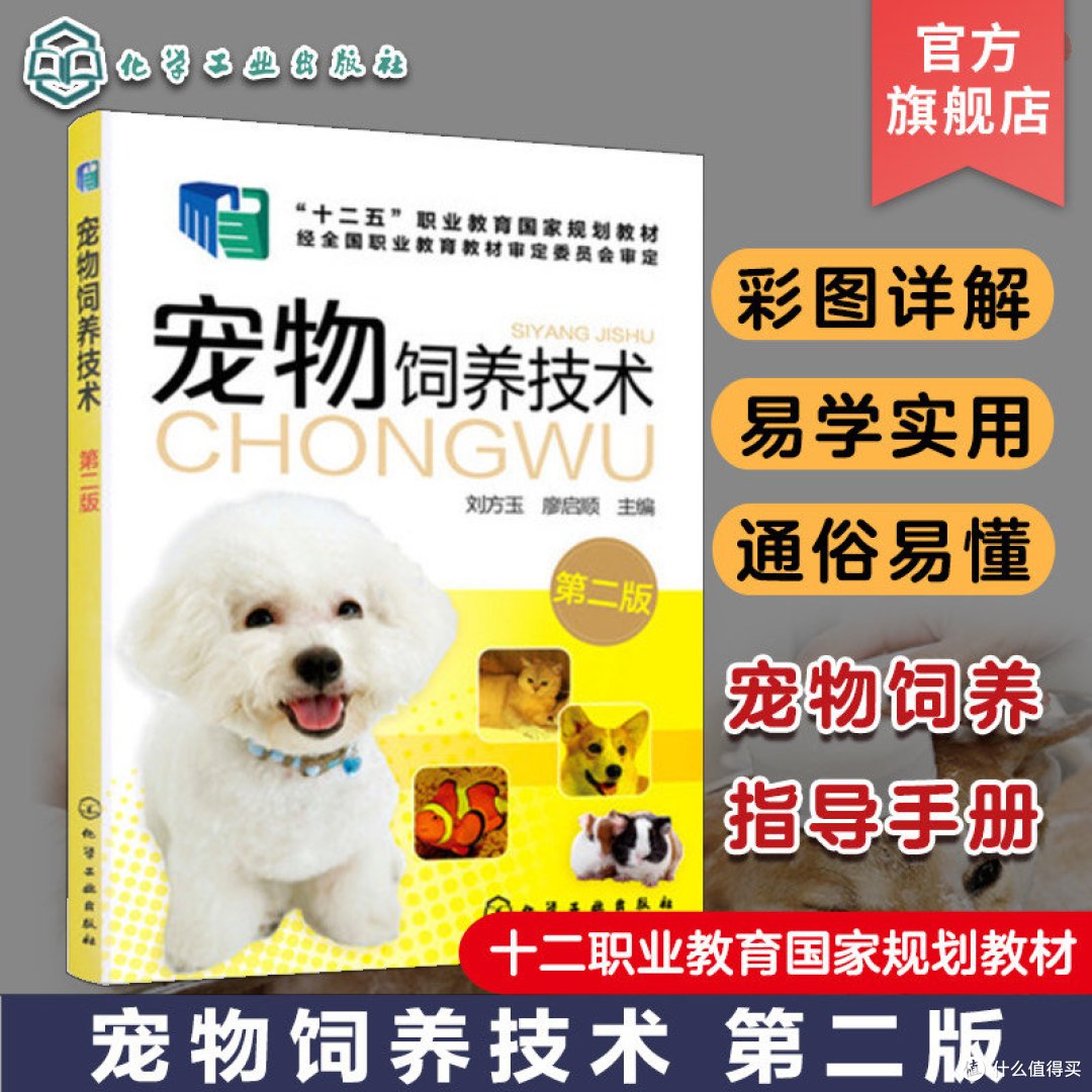 如何做一个优质养宠人,你准备好了吗?