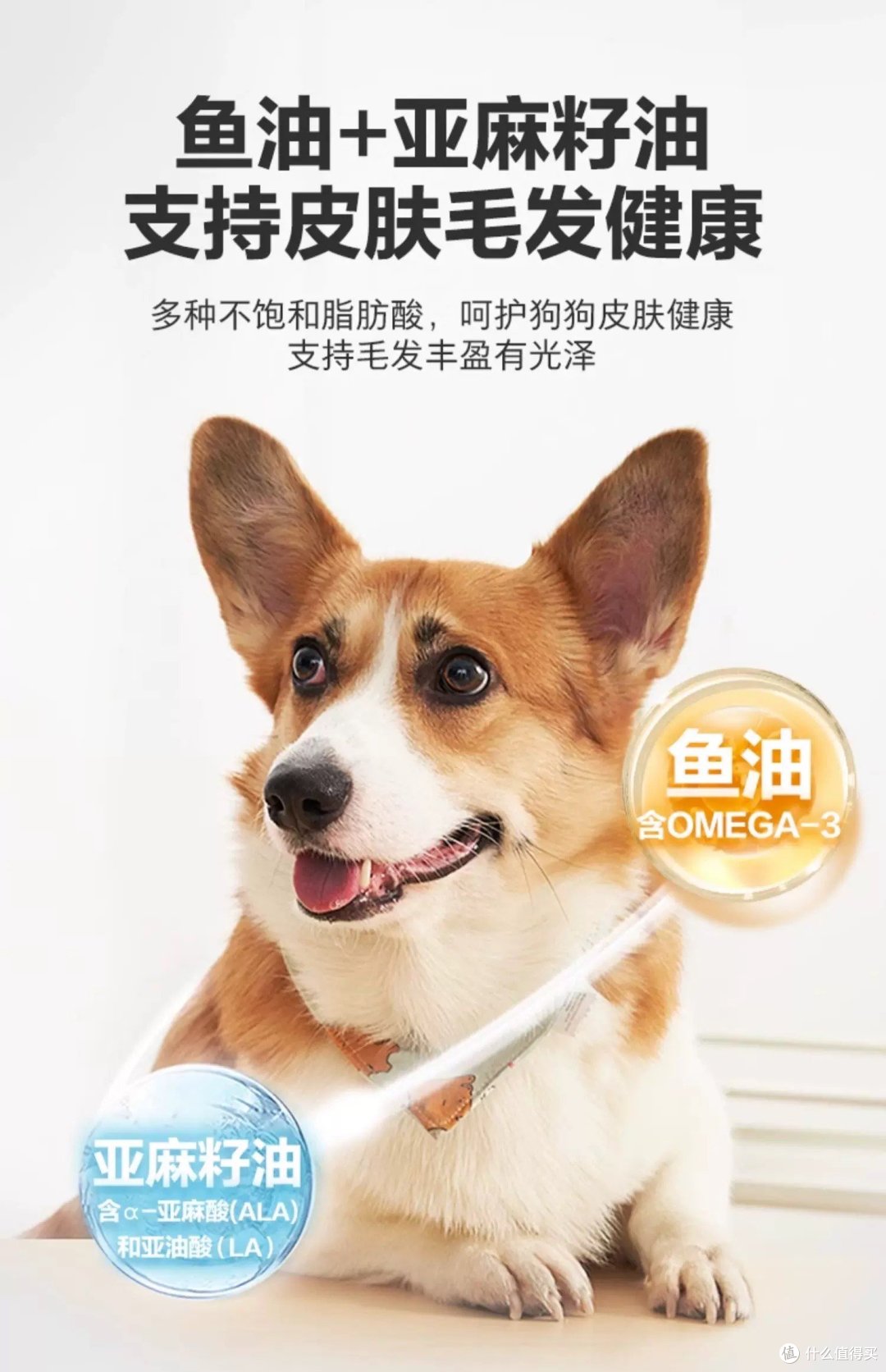 卫仕产品介绍:守护宠物健康的科学营养专家,当一个你家宠物的营养卫士_强化免疫_什么值得买