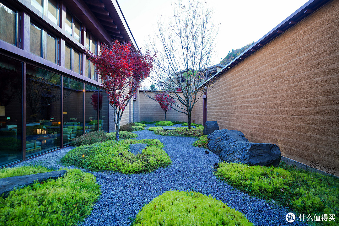 半途出家，落地成康：九寨沟康莱德酒店 豪华景观套房 入住体验