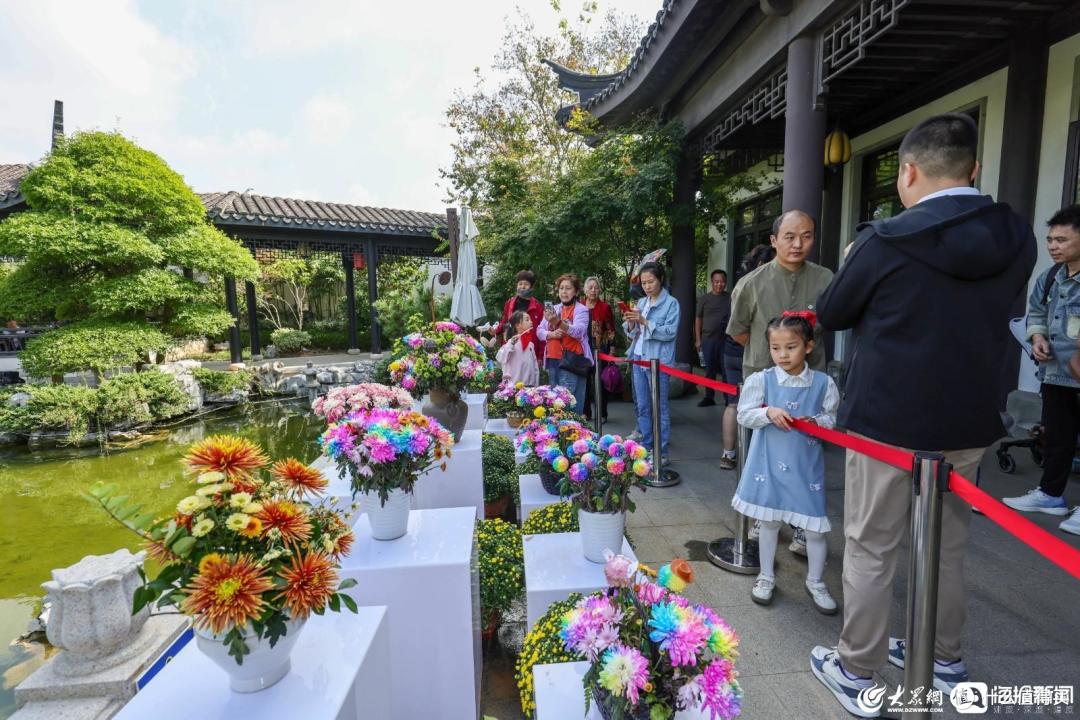 组图 I 风筝放飞、菊花展、军事教育基地... 世界风筝公园现场精彩瞬间