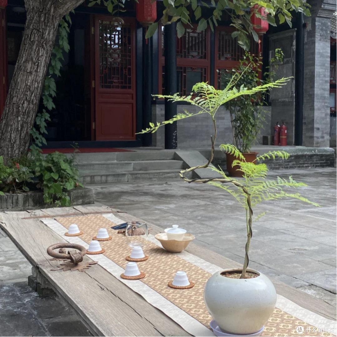 茉莉花茶-茉潮的茉莉银针怎么样?适不适合做一款口粮茶?