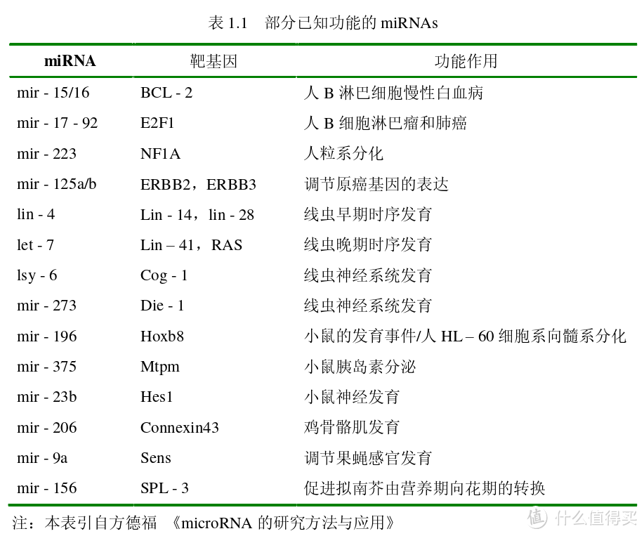 2024诺奖揭晓，micro RNA有什么作用？