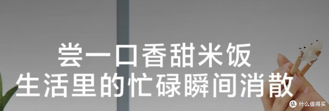 2024如何挑选电饭锅?2024美的电饭锅推荐合集！