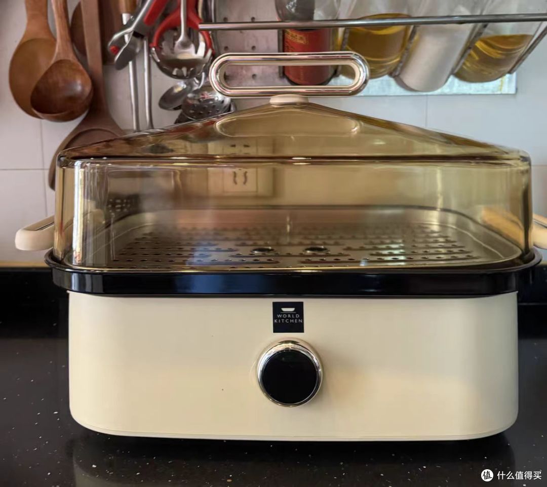 【自费7k实测】2024家用电蒸锅横测|为什么要买电蒸锅？东菱、康宁、北鼎热门电蒸锅哪个更适合家用？