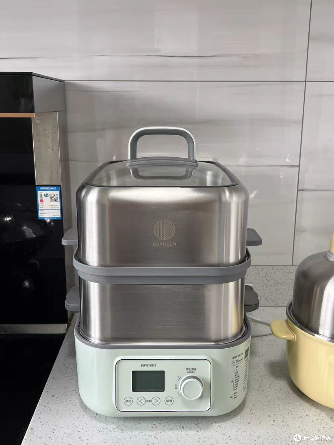 【自费7k实测】2024家用电蒸锅横测|为什么要买电蒸锅？东菱、康宁、北鼎热门电蒸锅哪个更适合家用？