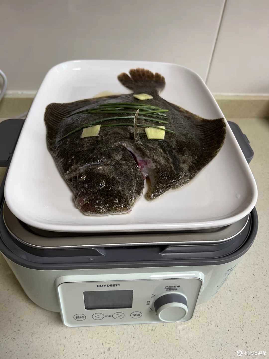 【自费7k实测】2024家用电蒸锅横测|为什么要买电蒸锅？东菱、康宁、北鼎热门电蒸锅哪个更适合家用？