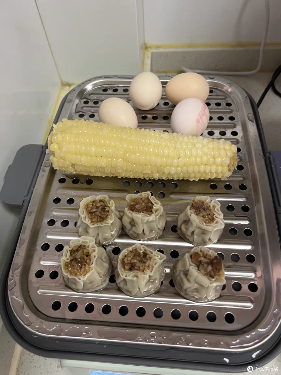 【自费7k实测】2024家用电蒸锅横测|为什么要买电蒸锅？东菱、康宁、北鼎热门电蒸锅哪个更适合家用？