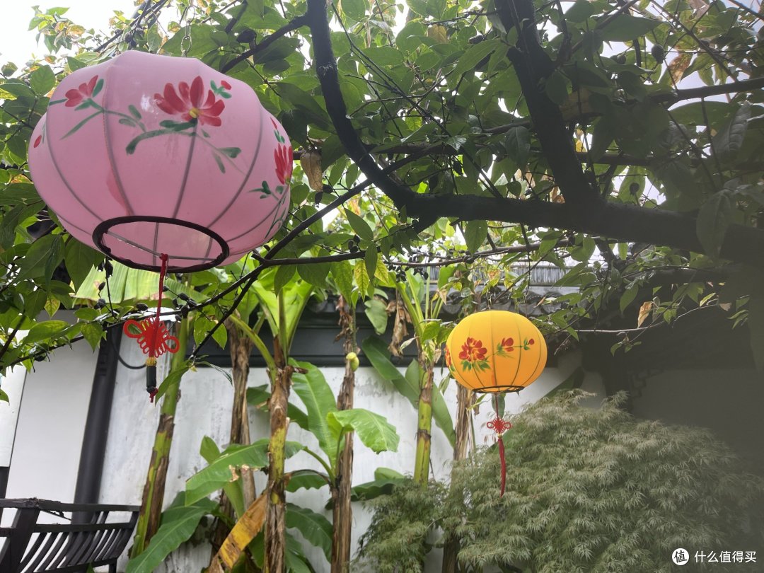 亲子酒店第二弹:阳澄湖开湖啦,食蟹!打卡阳澄湖新开的悦柳酒店——从大到小,从吃到住安排的明明白白